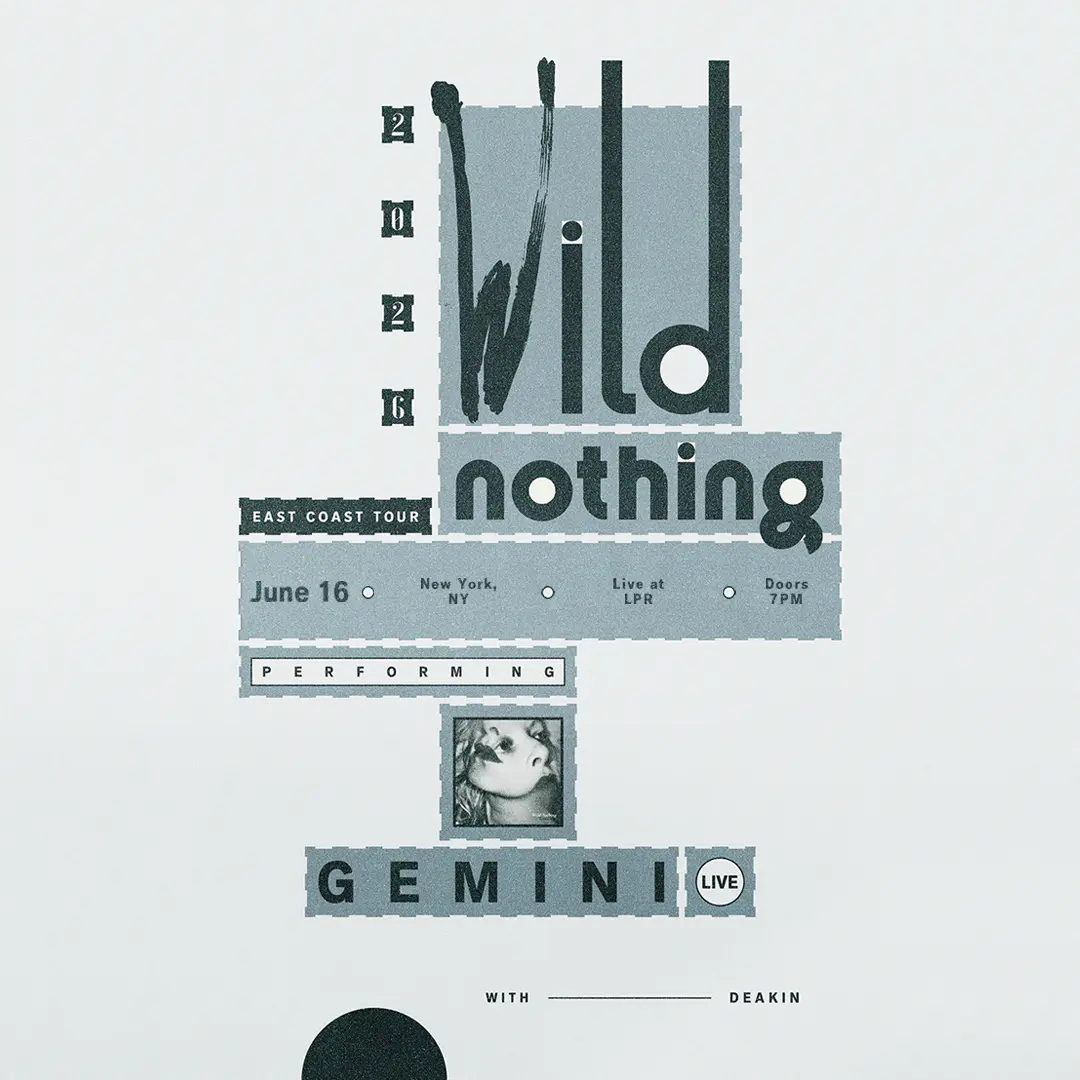 Wild Nothing poster image