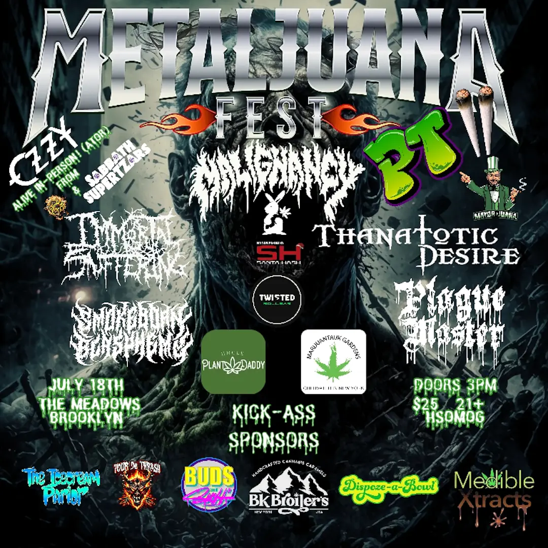 METALJUNA FEST PT. DOOB poster image