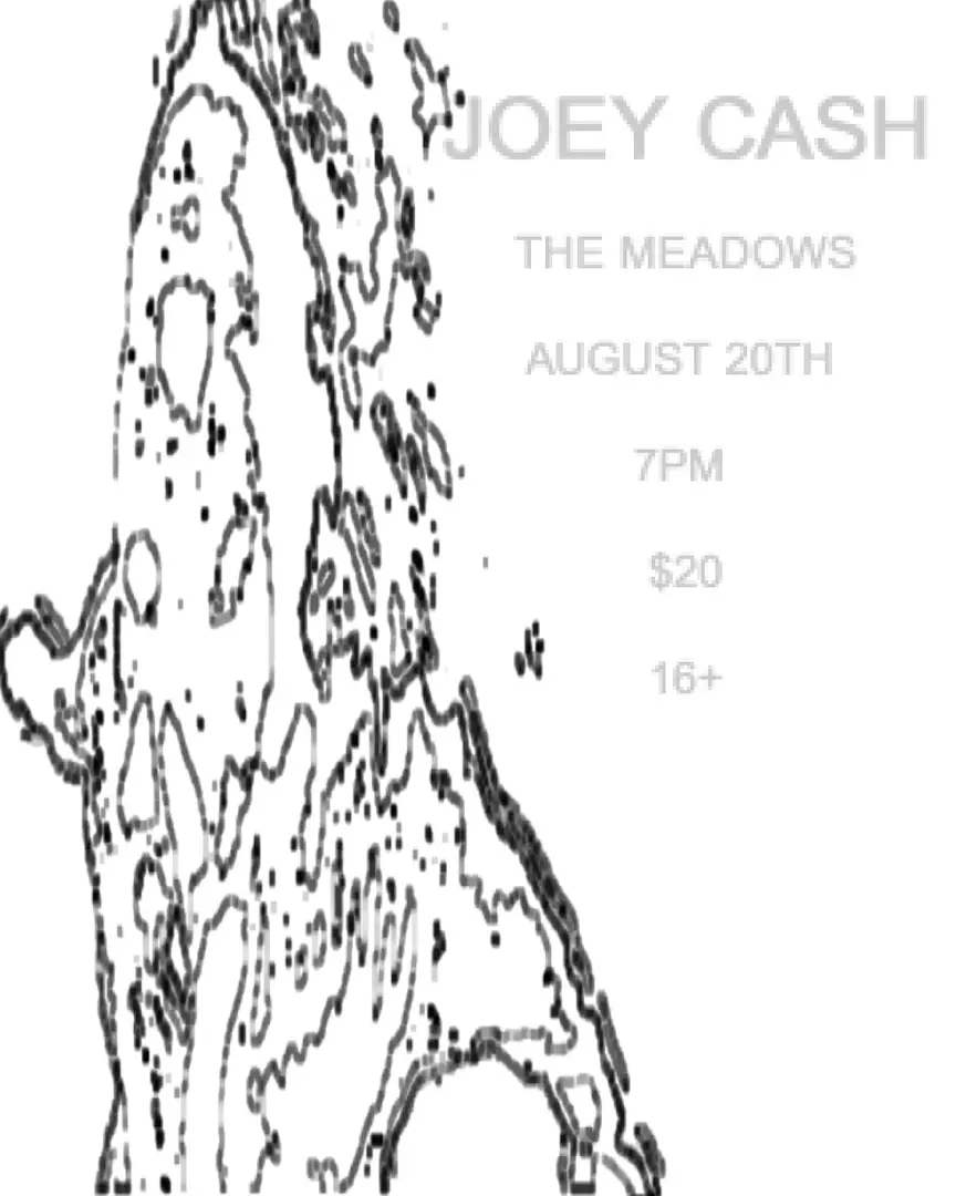 Joey Cash poster image