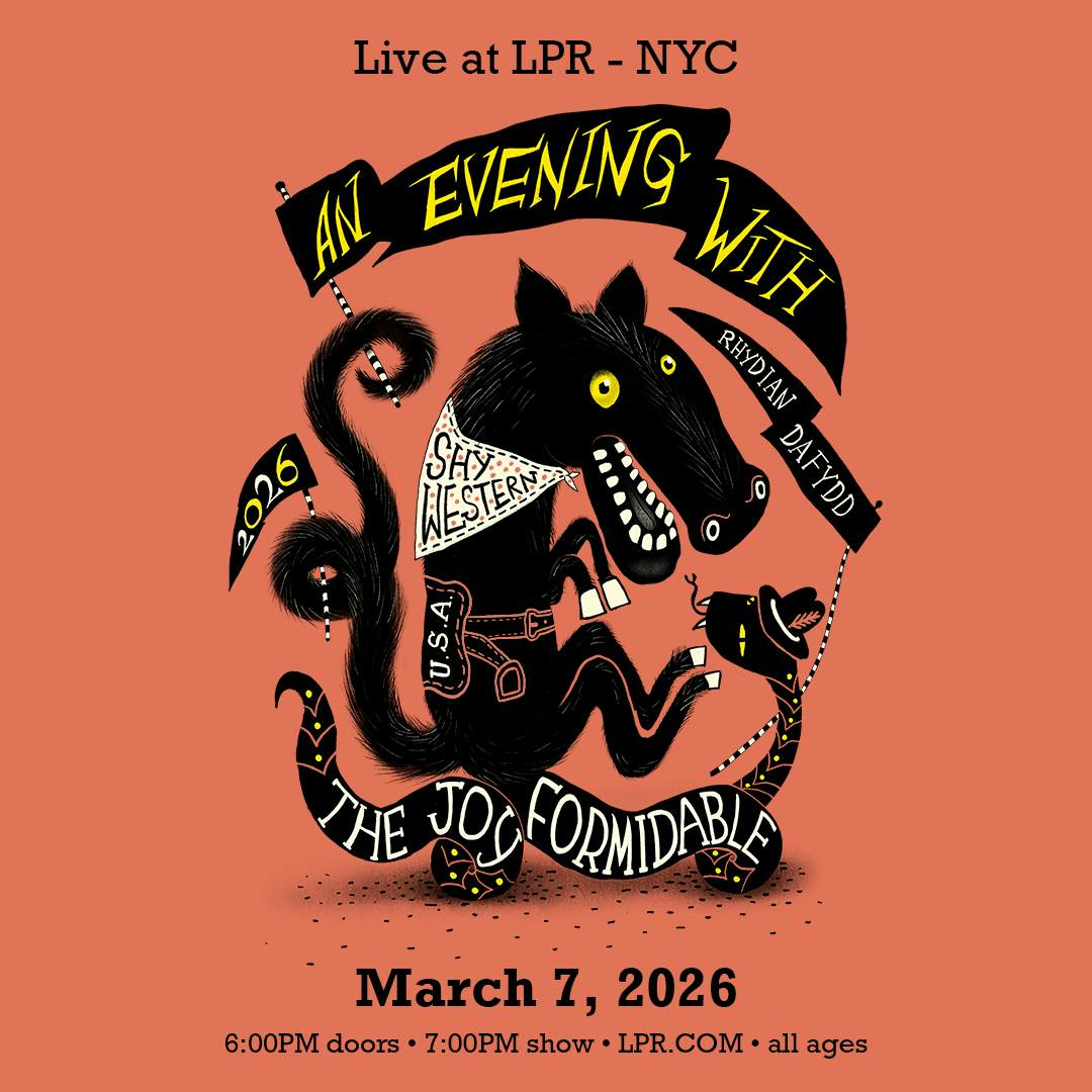 The Joy Formidable poster image