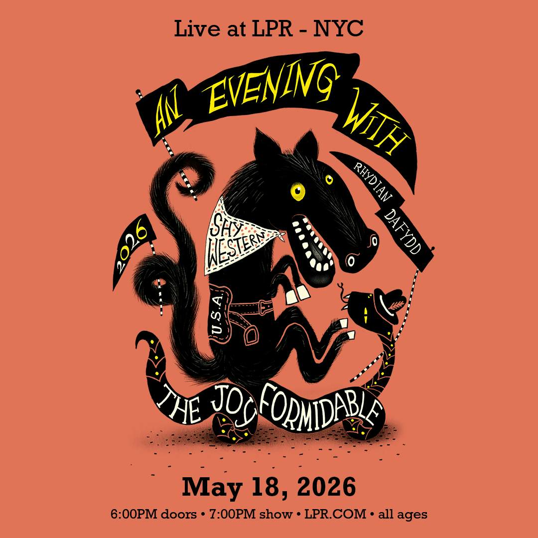 The Joy Formidable poster image