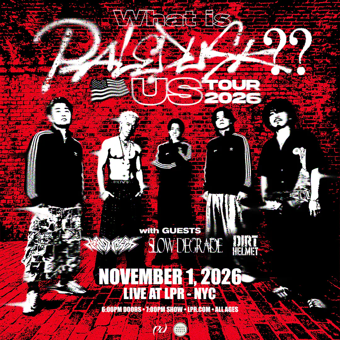 Paledusk poster image