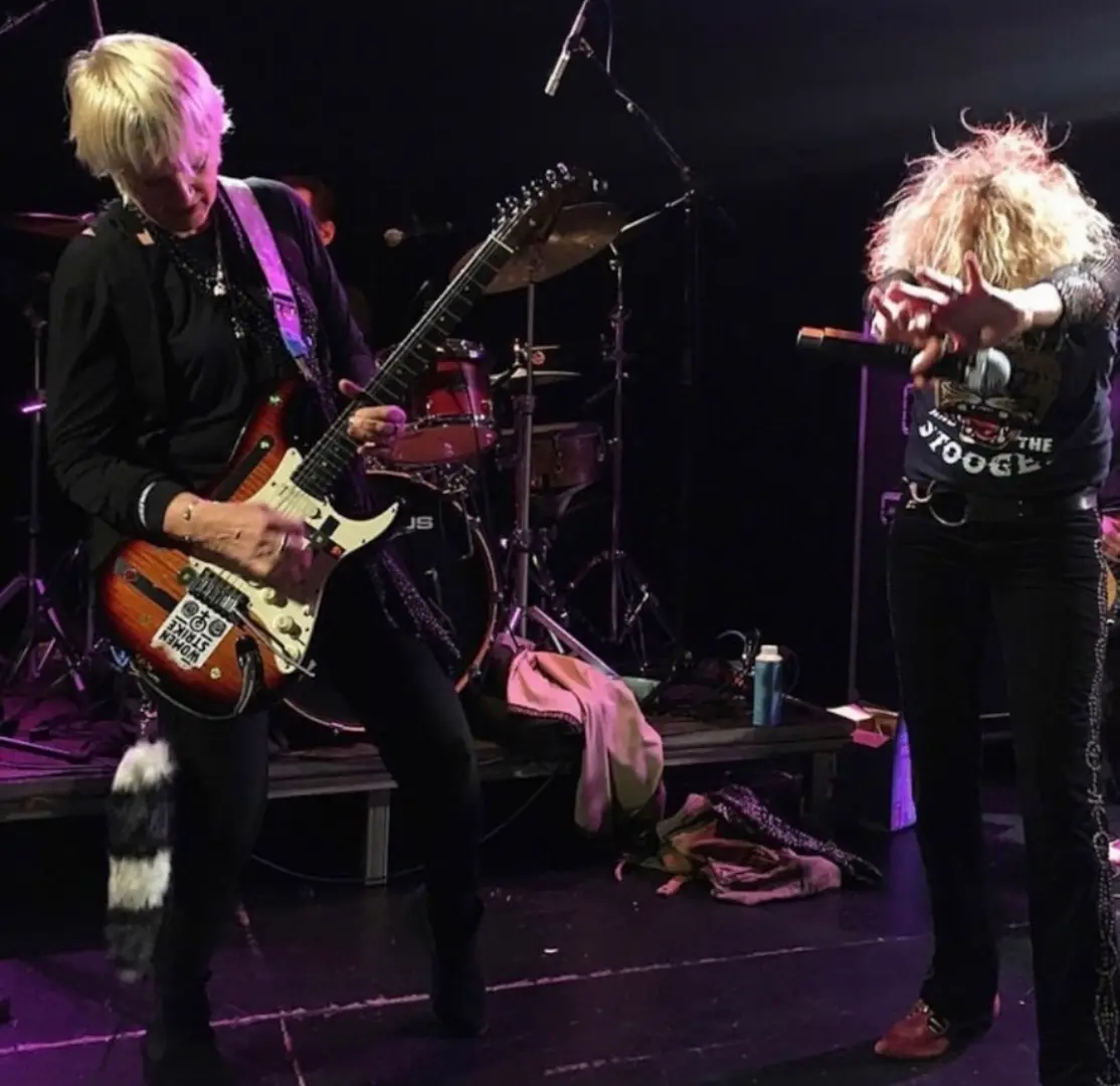 Bush Tetras poster image