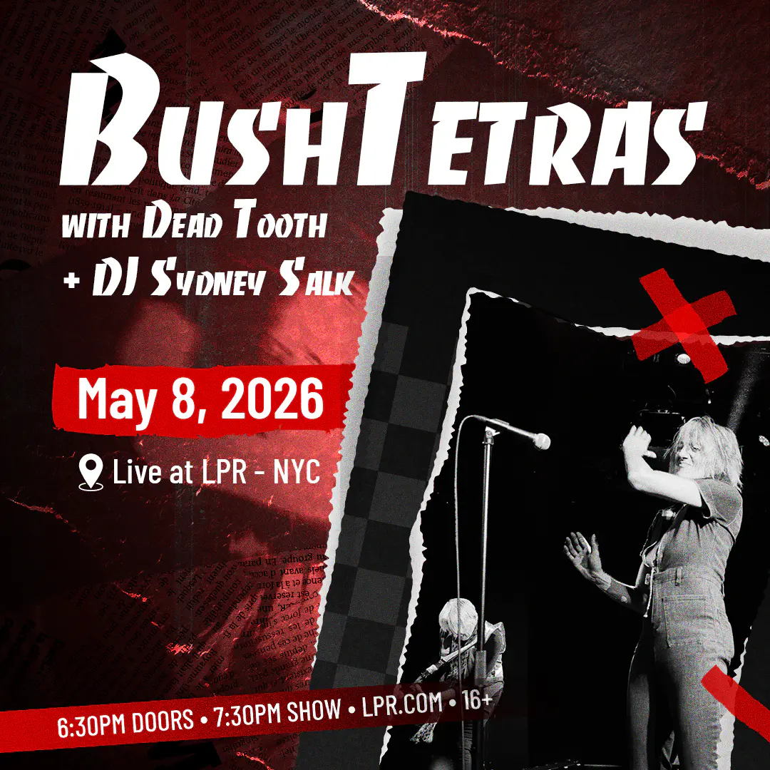 Bush Tetras poster image