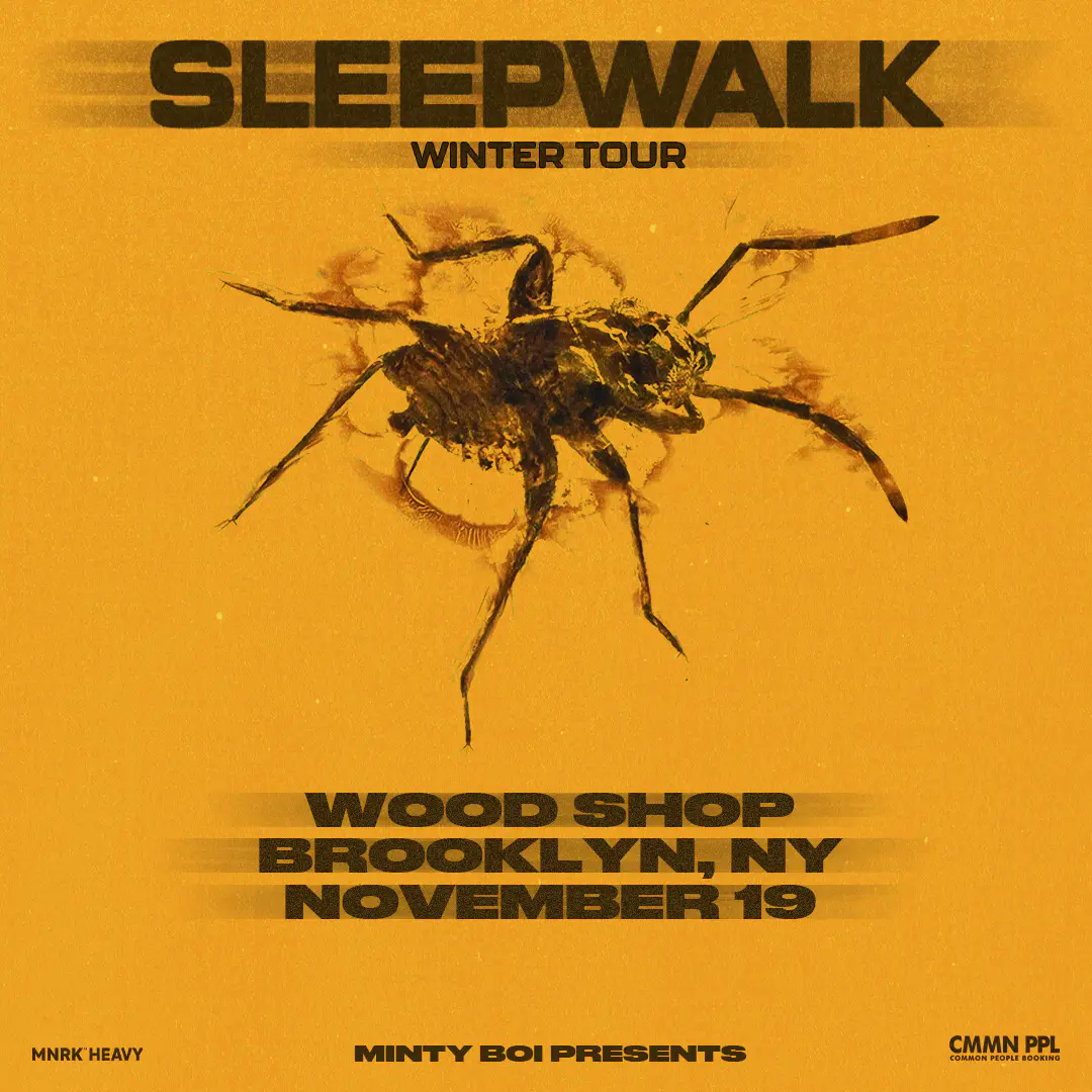 Sleepwalk poster image