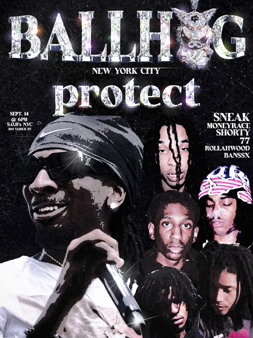 BALLHOG IN NYC poster image